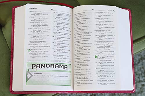 NIV, Teen Study Bible, Compact, Leathersoft, Pink