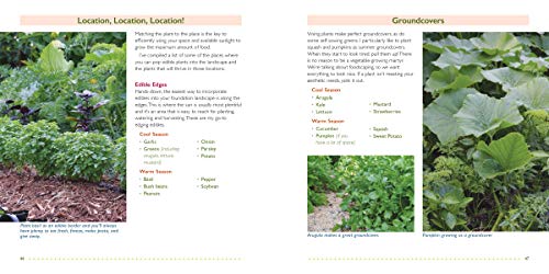 The Foodscape Revolution: Finding a Better Way to Make Space for Food and Beauty in Your Garden