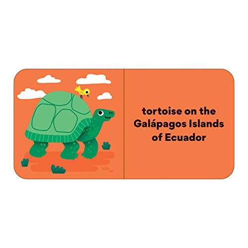 Little Traveler Board Book Set