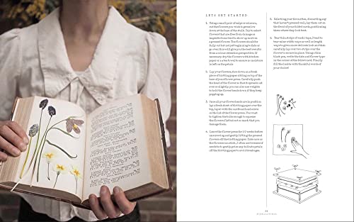 Everlastings: How to Grow, Harvest and Create with Dried Flowers