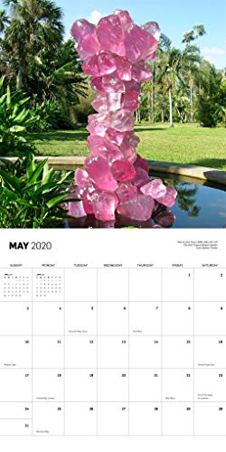 Chihuly 2020 Wall Calendar