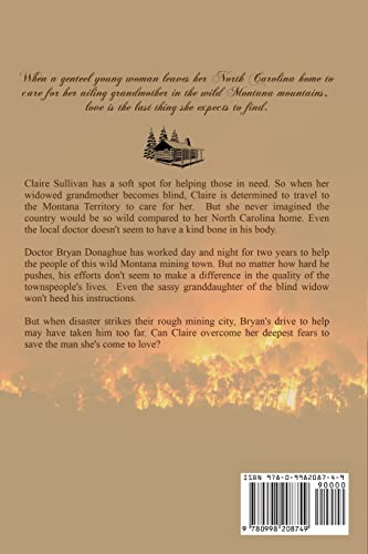 The Lady and the Mountain Fire (The Mountain series)