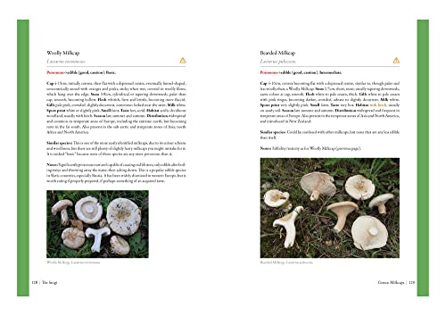 Edible Mushrooms: A forager's guide to the wild fungi of Britain, Ireland and Europe