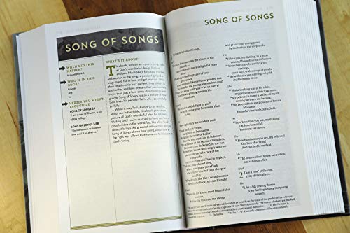 NIV, Bible for Teen Guys, Hardcover: Building Faith, Wisdom and Strength