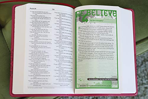 NIV, Teen Study Bible, Compact, Leathersoft, Pink