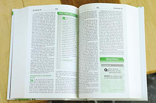 NIV, Teen Study Bible, Hardcover