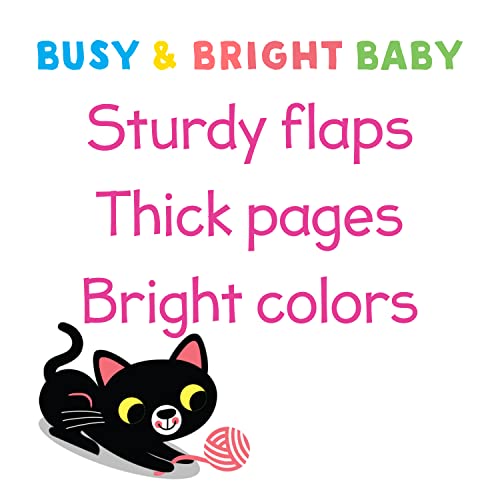 Hug Kiss Love (Children's Lift-a-Flap Board Book Gifts for Little Valentines, Mother's & Father's Day, Birthdays, Ages 0-4) (Busy & Bright Baby)