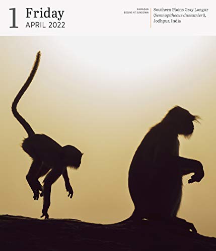 Audubon Nature Page-A-Day Gallery Calendar 2022: A wilderness escape every single day