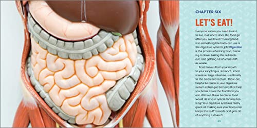 Human Anatomy for Kids: A Junior Scientist's Guide to How We Move, Breathe, and Grow