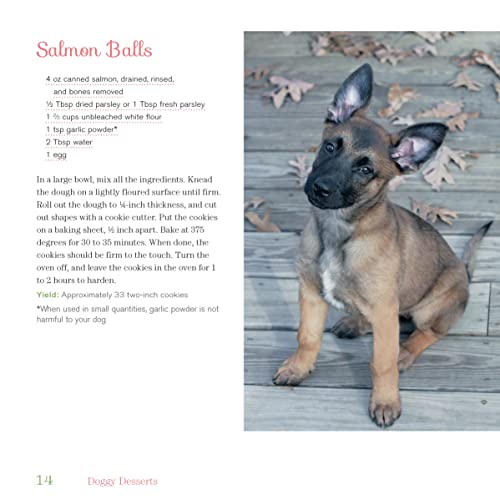 Doggy Desserts: 125 Homemade Treats for Happy, Healthy Dogs (CompanionHouse Books) Easy & Nutritious Canine-Friendly Recipes for Cookies, Bars, Biscotti, Biscuits, Cakes, Muffins, and Frozen Desserts