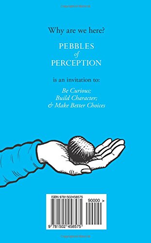 Pebbles of Perception: How a Few Good Choices make All the Difference