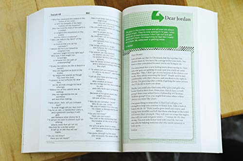 NIV, Teen Study Bible, Paperback