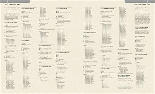 Snake: The Essential Visual Guide