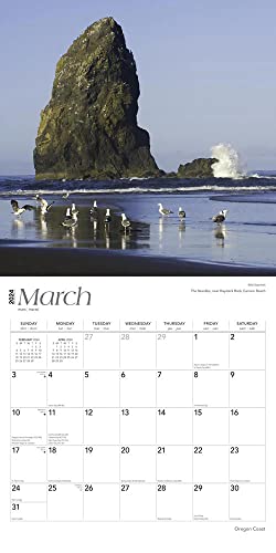 Oregon Coast | 2024 12 x 24 Inch Monthly Square Wall Calendar | BrownTrout | USA United States of America Pacific West State Ocean Sea Nature