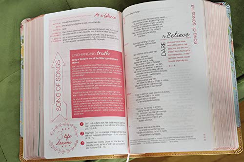 NIV, True Images Bible, Leathersoft, Teal/Gold: The Bible for Teen Girls