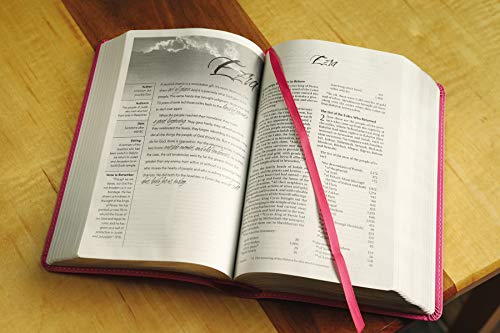 NIV, Women's Devotional Bible, Leathersoft, Pink