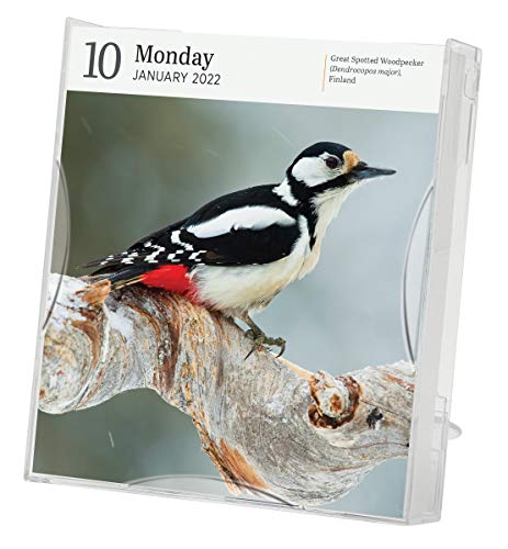 Audubon Nature Page-A-Day Gallery Calendar 2022: A wilderness escape every single day