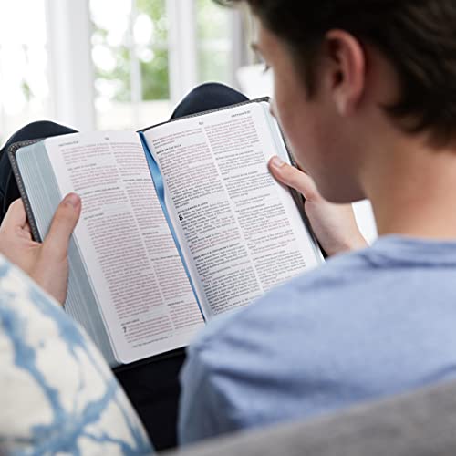 KJV, Thinline Bible Youth Edition, Leathersoft, Brown, Red Letter, Comfort Print: Holy Bible, King James Version