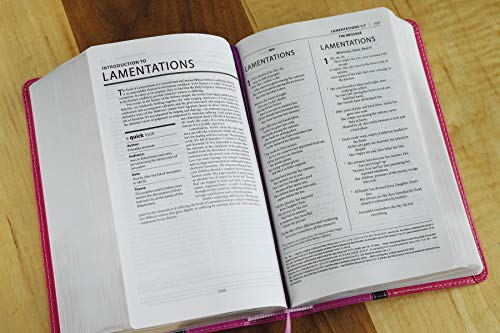 NIV, The Message, Parallel Study Bible, Leathersoft, Pink: Two Bible Versions Together with NIV Study Bible Notes
