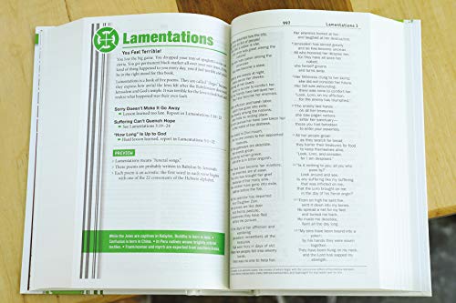 NIV, Teen Study Bible, Hardcover