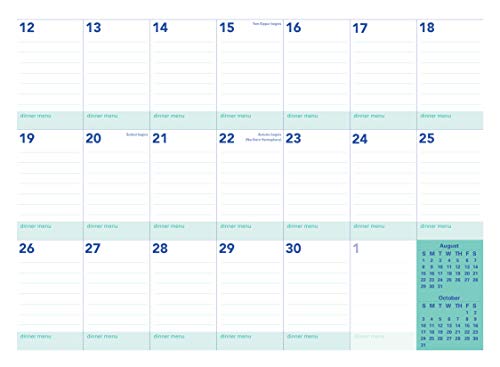 Amy Knapp's Big Grid Family Organizer Wall Calendar: 17-Month Giant Fridge Calendar for Mom with 225+ Stickers (Hanging Family Plan Calendar, Aug 2020 - Dec 2021)