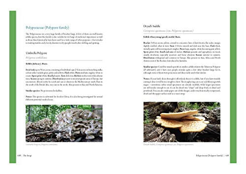 Edible Mushrooms: A forager's guide to the wild fungi of Britain, Ireland and Europe