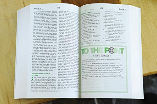 NIV, Teen Study Bible, Paperback