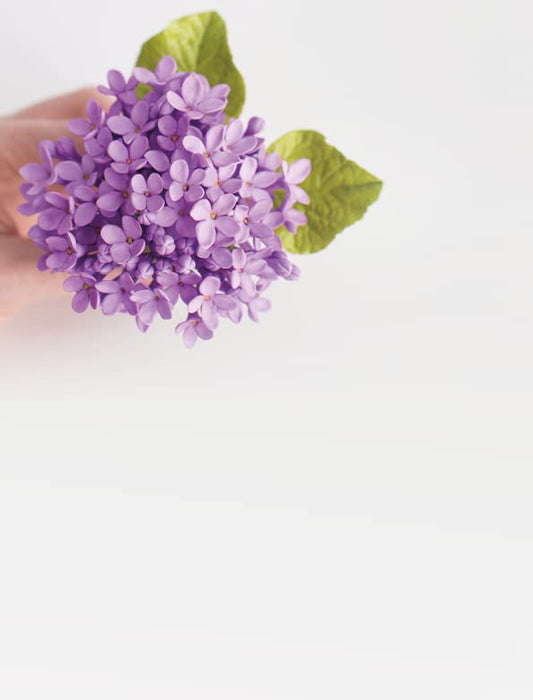 Modern Sugar Flowers: Contemporary cake decorating with elegant gumpaste flowers