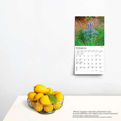 Wildflowers | 2024 7 x 14 Inch Monthly Mini Wall Calendar | BrownTrout | Flower Outdoor Plant