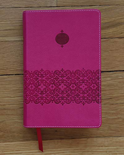 NIV, Teen Study Bible, Compact, Leathersoft, Pink