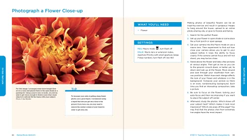 BetterPhoto Basics: The Absolute Beginner's Guide to Taking Photos Like a Pro