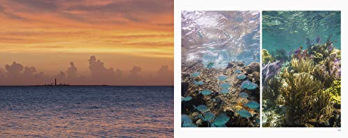 Treasured Lands: A Photographic Odyssey Through America's National Parks, Second Expanded Edition