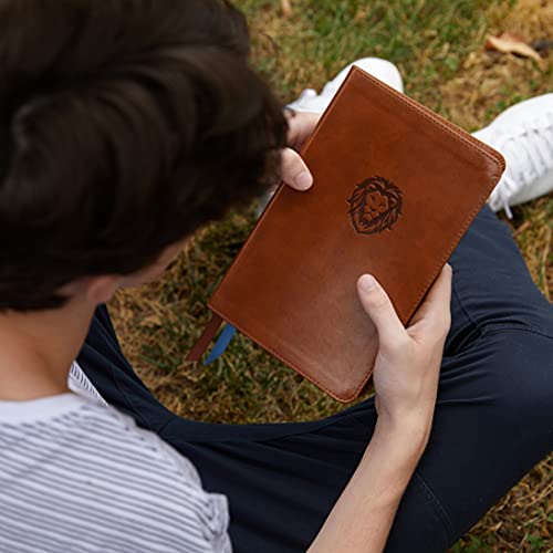 KJV, Thinline Bible Youth Edition, Leathersoft, Brown, Red Letter, Comfort Print: Holy Bible, King James Version