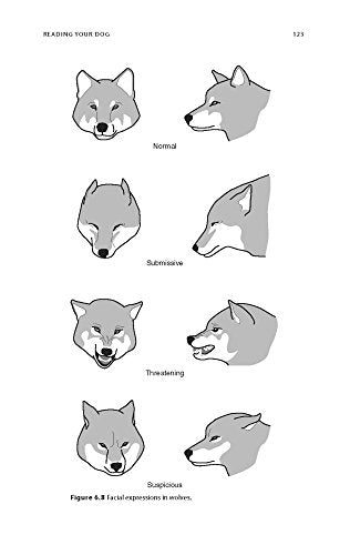 K9 Behavior Basics: A Manual for Proven Success in Operational Service Dog Training (K9 Professional Training Series)