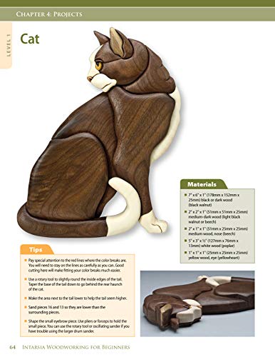 Intarsia Woodworking for Beginners: Skill-Building Lessons for Creating Beautiful Wood Mosaics: 25 Skill-Building Projects (Fox Chapel Publishing) Step-by-Step Instructions, Patterns, Tips & Tricks