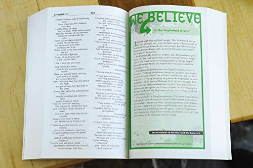 NIV, Teen Study Bible, Paperback