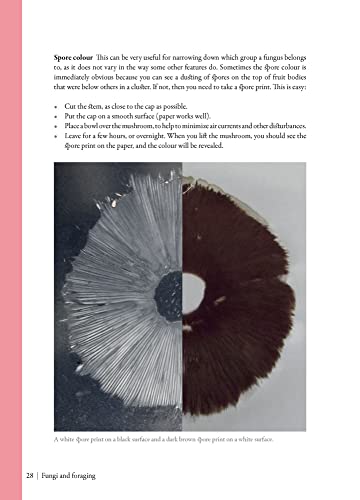 Edible Mushrooms: A forager's guide to the wild fungi of Britain, Ireland and Europe