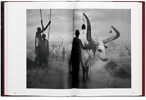 Sebastião Salgado: Genesis