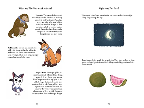 The Moonlight Meeting: The Nocturnals Grow & Read Early Reader, Level 2