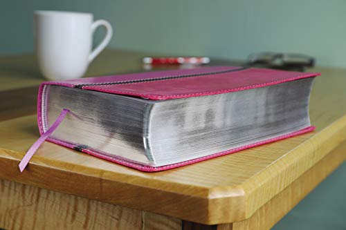 NIV, The Message, Parallel Study Bible, Leathersoft, Pink: Two Bible Versions Together with NIV Study Bible Notes