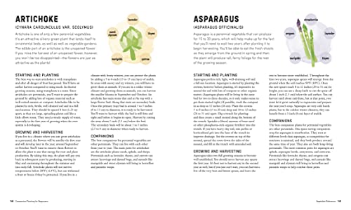 Companion Planting for Beginners: Pair Your Plants for a Bountiful, Chemical-Free Vegetable Garden