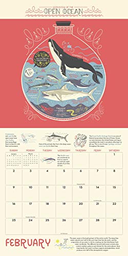 The Wondrous Workings of Planet Earth 2020 Wall Calendar