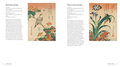 Hokusai: Beyond the Great Wave
