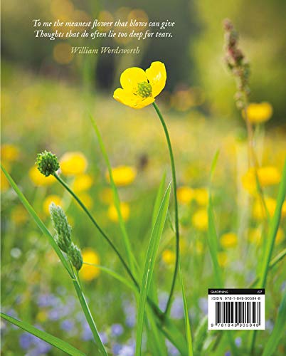 Wild Flowers: Nature's Own to Garden Grown