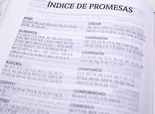 Santa Biblia de Promesas Reina-Valera 1960 / Compacta / Letra Grande / Piel Especial / Floral // Spanish Promise Bible RVR 1960 / Compact / Large Print / Leathersoft / Floral (Spanish Edition)