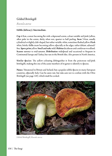 Edible Mushrooms: A forager's guide to the wild fungi of Britain, Ireland and Europe