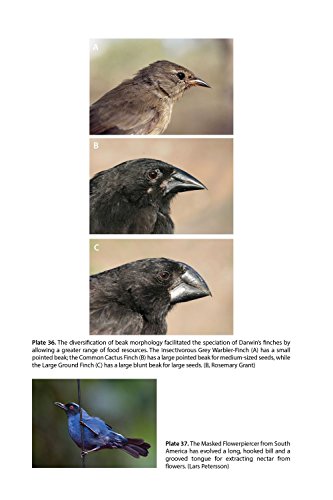 The Ascent of Birds: How Modern Science Is Revealing Their Story