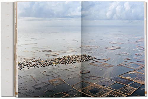 Julia Watson: Lo-Tek; Design by Radical Indigenism