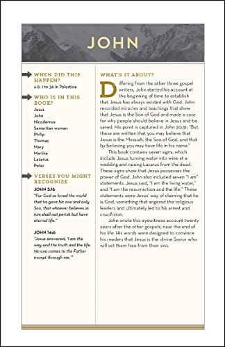 NIV, Bible for Teen Guys, Hardcover: Building Faith, Wisdom and Strength