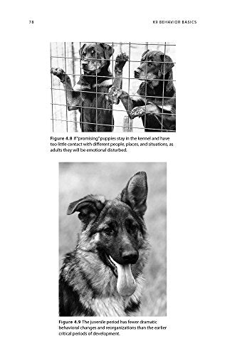 K9 Behavior Basics: A Manual for Proven Success in Operational Service Dog Training (K9 Professional Training Series)